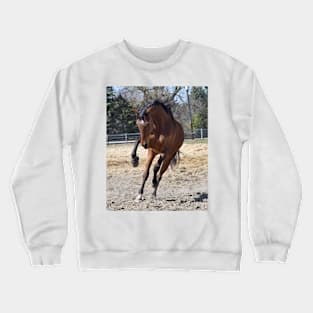 Handsome Crewneck Sweatshirt